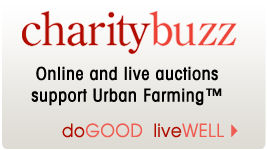 Charity Buzz Auctions